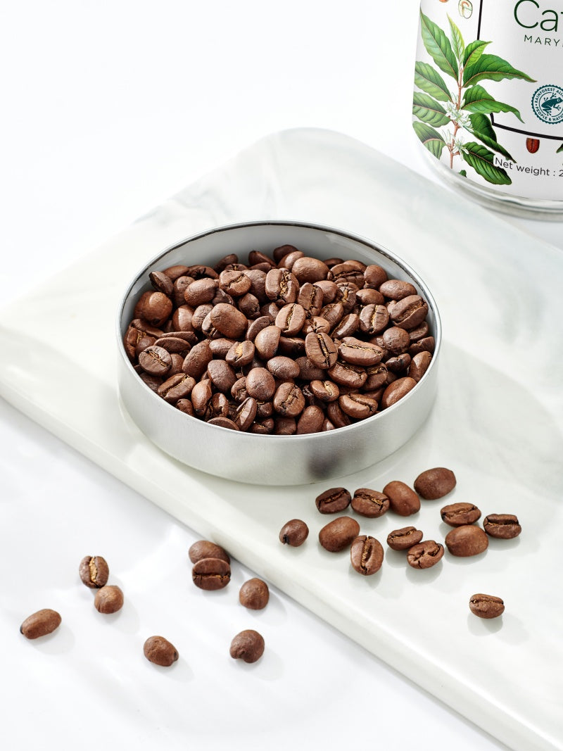 MARYLING Caffè | Velvety Cream · Rainforest Certified · Coffee Beans
