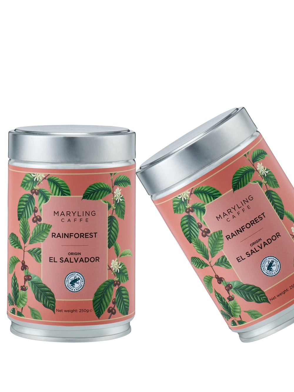 MARYLING Caffè | El Salvador · Apaneca-Ilamatepec · Rainforest Coffee Beans
