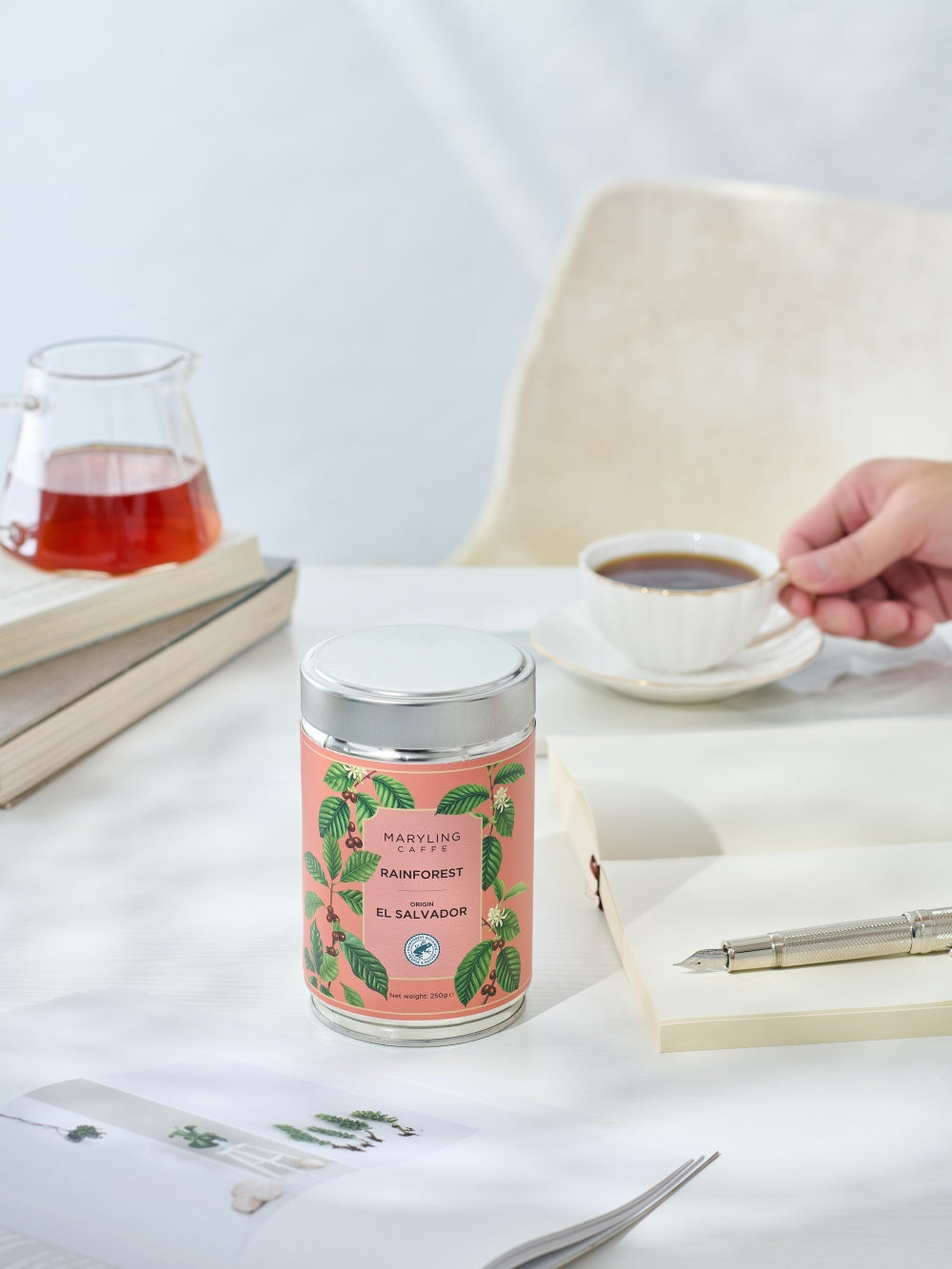 MARYLING Caffè | El Salvador · Apaneca-Ilamatepec · Rainforest Coffee Beans